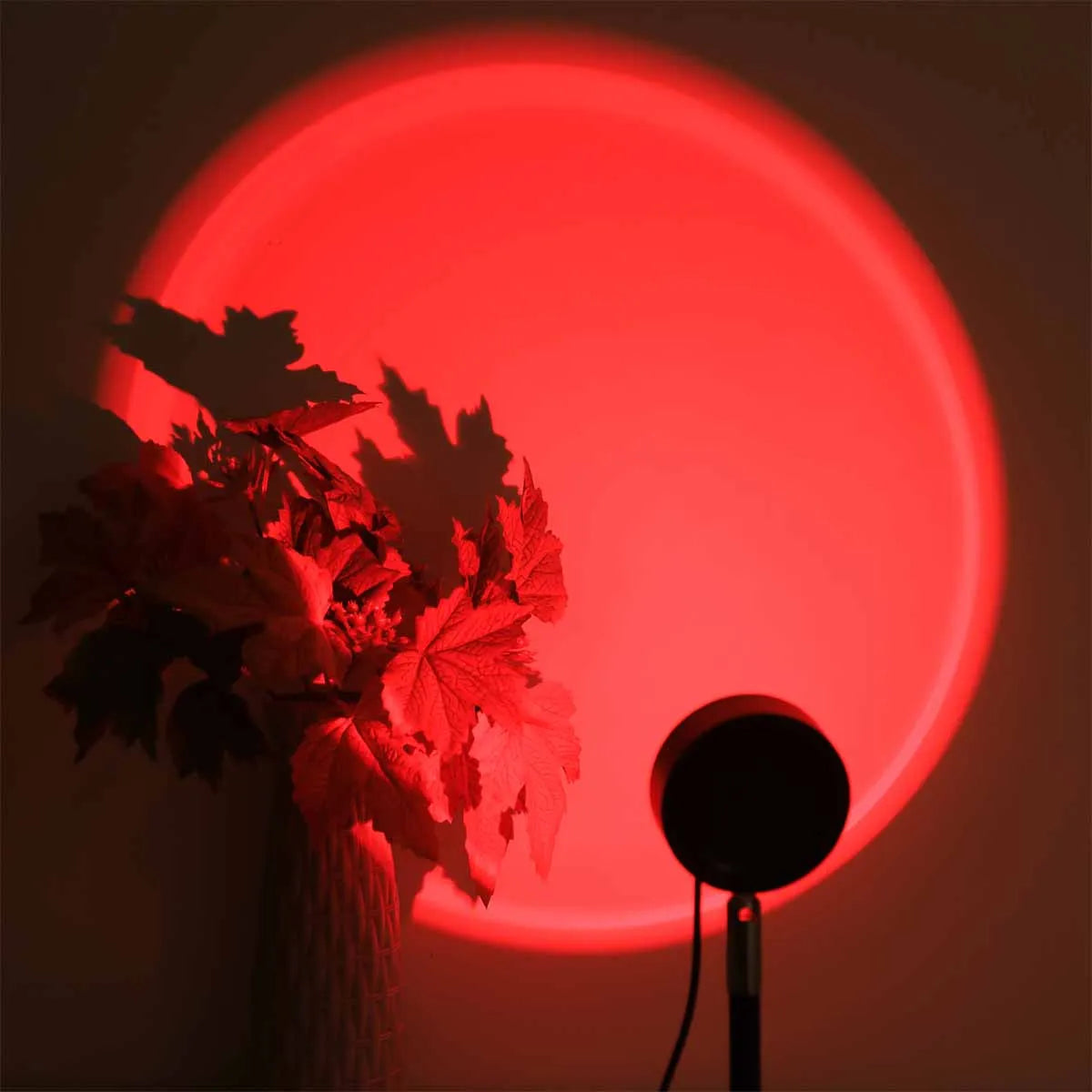 Lampe Coucher de Soleil Rotative 180° - 16 Couleurs